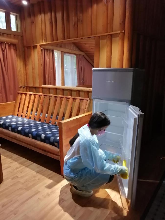 Lodge Salto Del Indio - Lemunantu Manzanar (Araucania)